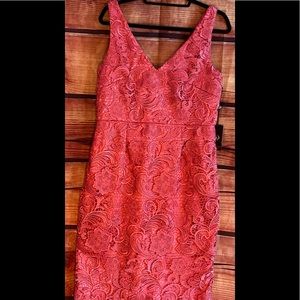Women’s Sz 12 Adrianna Papell Brand BEAUTIFUL Salmon Pink Color Lace Dress Used